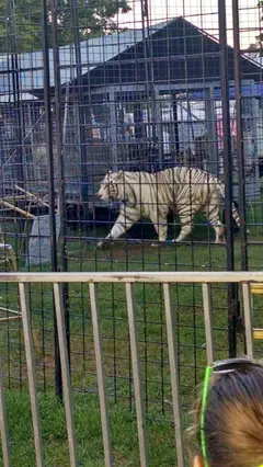 Allegan County Fair photo 5