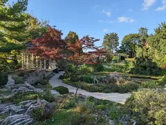 Allen Centennial Garden photo 3