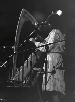 Traditional Irish Music