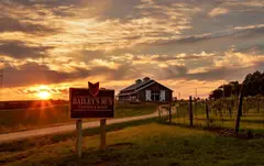 Bailey's Run Vineyard & Winery photo 1