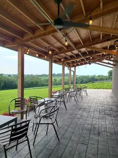 Bailey's Run Vineyard & Winery photo 4