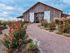 Bailey's Run Vineyard & Winery photo 2