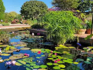 Chicago Botanic Garden