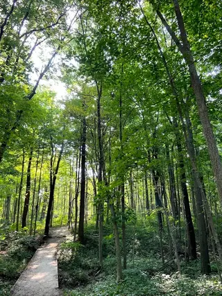 Cool Creek Park