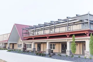 Daniel's Vineyard