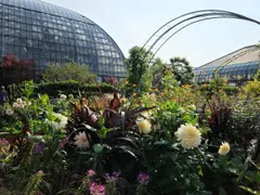 Garfield Park Conservatory photo 2