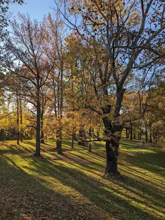 Highland Park photo 5