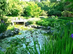 Klehm Arboretum & Botanic Garden photo 3