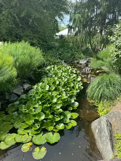 Klehm Arboretum & Botanic Garden photo 5