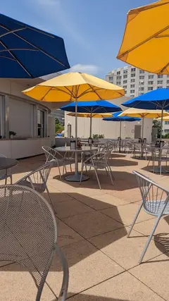 Lake Vista Café photo 3