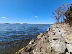 McDaniel Park photo 5