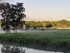 McKee Farms Park photo 4