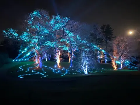 The Morton Arboretum