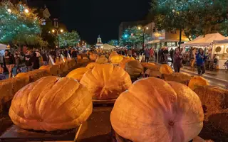 Operation Pumpkin logo