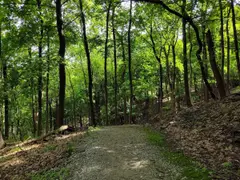 Riverview Park photo 3