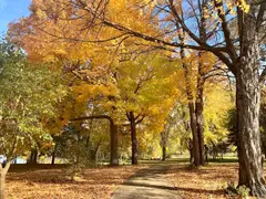 San Damiano Park photo 2
