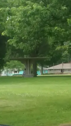 Segoe Park photo 5