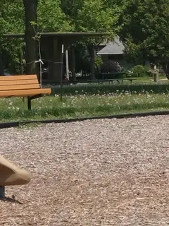 Segoe Park photo 3