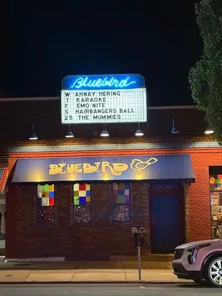 The Bluebird