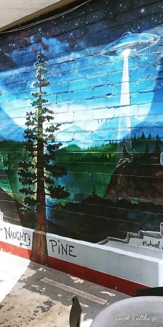 The Naughty Pine