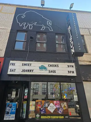The Neon Bison