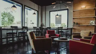 The Stray