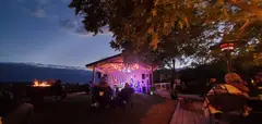 The Vines photo 1