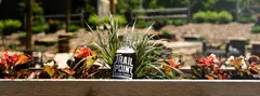 Trail Point Brewing Company photo 3