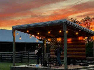 Verona Vineyards