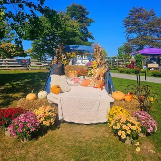 Village Peddler Festival logo