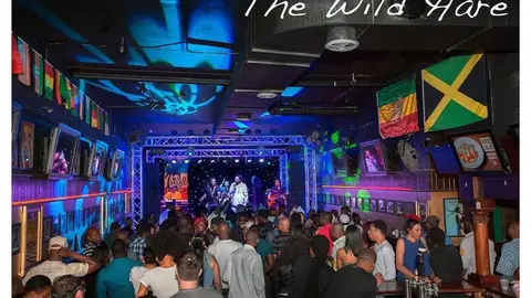The Wild Hare