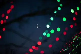 Wildlights at Columbus Zoo and Aquarium logo