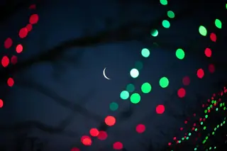 Wildlights at Columbus Zoo and Aquarium logo